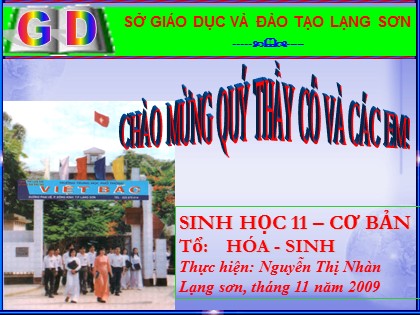 Bài giảng Sinh học Lớp 11 - Tiết 12: Hô hấp ở thực vật Bài giảng Sinh học Lớp 11 - Tiết 12: Hô hấp ở thực vật