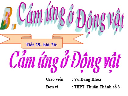 Bài giảng Sinh học Lớp 11 - Tiết 29: Cảm ứng ở động vật - Vũ Đăng Khoa