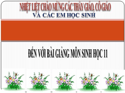 Bài giảng Sinh học Lớp 11 - Tiết 3: Thoát hơi nước Bài giảng Sinh học Lớp 11 - Tiết 3: Thoát hơi nước