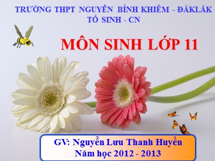 Bài giảng Sinh học Lớp 11 - Tiết 34: Sinh trưởng ở thực vật - Nguyễn Lưu Thanh Huyền