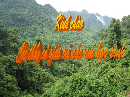 Bài giảng Sinh học Lớp 12 - Bài 16: Cấu trúc di truyền của quần thể - Phan Xuân Vị