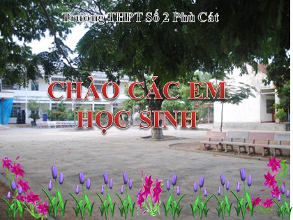 Bài giảng Sinh học Lớp 12 - Bài 17: Cấu trúc di truyền của quần thể (Tiếp theo) - Trường THPT Số 2 Phù Cát