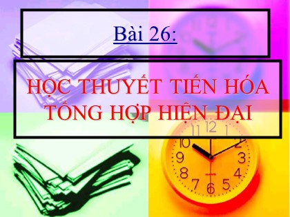 Bài giảng Sinh học Lớp 12 - Bài 26: Học thuyết tiến hóa tổng hợp hiện đại