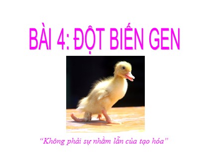 Bài giảng Sinh học Lớp 12 - Bài 4: Đột biến gen