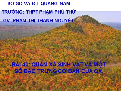Bài giảng Sinh học Lớp 12 - Bài 40: Quần xã sinh vật và một số đặc trưng cơ bản của quần xã - Phạm Thị Thanh Nguyệt