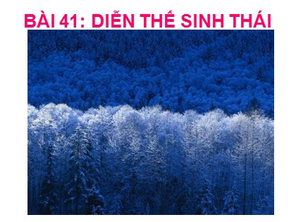Bài giảng Sinh học Lớp 12 - Bài 41: Diễn thế sinh thái