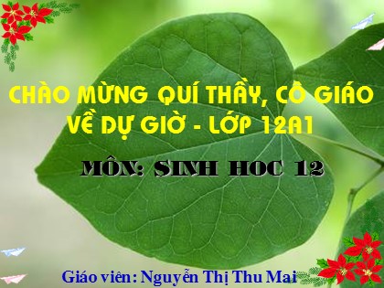 Bài giảng Sinh học Lớp 12 - Bài 45: Dòng năng lượng trong hệ sinh thái và hiệu suất sinh thái - Nguyễn Thị Thu Mai