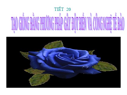 Bài giảng Sinh học Lớp 12 - Tiết 20: Tạo giống bằng phương pháp gây đột biến và công nghệ tế bào