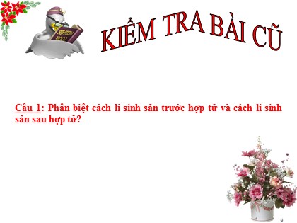 Bài giảng Sinh học Lớp 12 - Tiết 30: Quá trình hình thành loài - Nguyễn Văn Lương