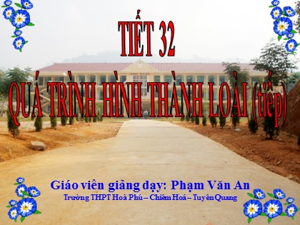 Bài giảng Sinh học Lớp 12 - Tiết 32: Quá trình hình thành loài (Tiếp) - Phạm Văn An