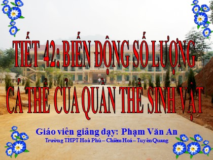 Bài giảng Sinh học Lớp 12 - Tiết 42: Biến động số lượng cá thể của quần thể sinh vật - Phạm Văn An