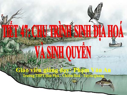 Bài giảng Sinh học Lớp 12 - Tiết 47: Chu trình sinh địa hoá và sinh quyển - Phạm Văn An