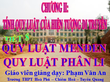 Bài giảng Sinh học Lớp 12 - Tiết 8: Quy luật Menđen quy luật phân li - Phạm Văn An