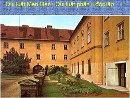 Bài giảng Sinh học Lớp 12 - Tiết 9: Quy luật phân li độc lập