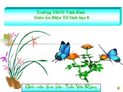 Bài giảng Sinh học Lớp 8 - Bài 44: Thực hành Tìm hiểu chức năng của tủy sống - Trần Văn Rạng