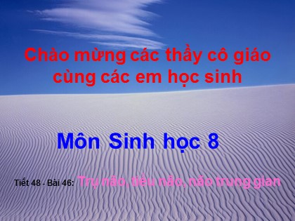 Bài giảng Sinh học Lớp 8 - Bài 46: Trụ não, tiểu não, não trung gian