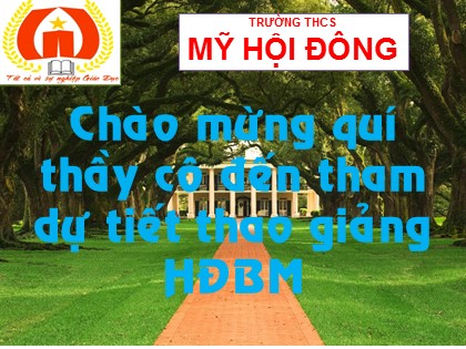 Bài giảng Sinh học Lớp 8 - Bài 48: Hệ thần kinh sinh dưỡng - Trường THCS Mỹ Hội Đông