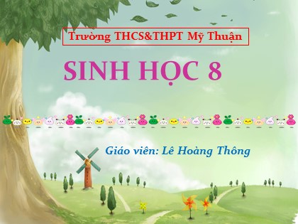 Bài giảng Sinh học Lớp 8 - Bài 57: Tuyến tụy và tuyến trên thận - Lê Hoàng Thông