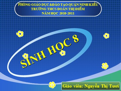 Bài giảng Sinh học Lớp 8 - Bài 58: Tuyến sinh dục - Nguyễn Thị Tươi