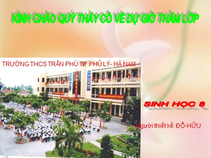 Bài giảng Sinh học Lớp 8 - Bài 59: Sự điều hoà và phối hợp hoạt động của các tuyến nội tiết - Đỗ Hữu