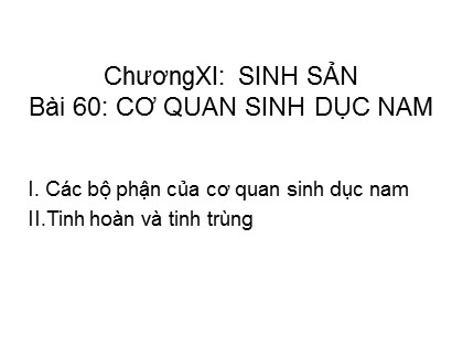 Bài giảng Sinh học Lớp 8 - Bài 60: Cơ quan sinh dục nam