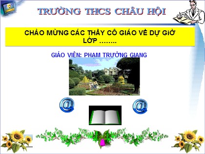 Bài giảng Sinh học Lớp 8 - Bài 64: Các bệnh lây truyền qua đường sinh dục (Bệnh tình dục) - Phạm Trường Giang