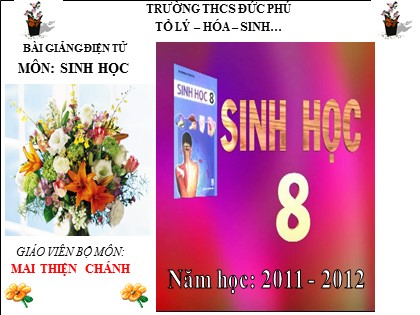 Bài giảng Sinh học Lớp 8 - Tiết 19: Vận chuyển máu qua hệ mạch. Vệ sinh hệ tuần hoàn - Mai Thiện Chánh