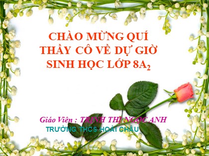 Bài giảng Sinh học Lớp 8 - Tiết 20: Thực hành sơ cứu cầm máu - Trịnh Thị Ngọc Anh