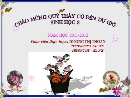 Bài giảng Sinh học Lớp 8 - Tiết 23: Vệ sinh hô hấp - Dương Thị Thoan