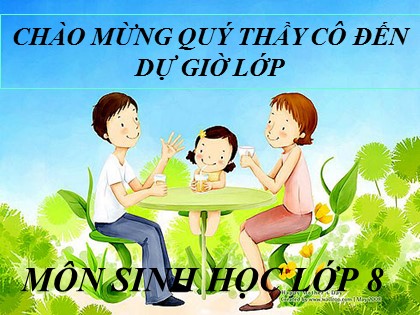 Bài giảng Sinh học Lớp 8 - Tiết 27: Tiêu hoá ở dạ dày