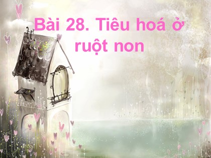 Bài giảng Sinh học Lớp 8 - Tiết 28: Tiêu hoá ở ruột non