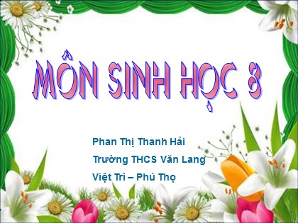 Bài giảng Sinh học Lớp 8 - Tiết 39: Thực hành phân tích khẩu phần ăn cho trước - Phan Thị Thanh Hải