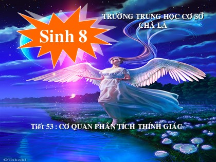 Bài giảng Sinh học Lớp 8 - Tiết 53: Cơ quan phân tích thính giác