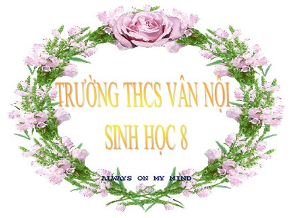 Bài giảng Sinh học Lớp 8 - Tiết 54: Phản xạ không điều kiện và phản xạ có điều kiện - Trường THCS Vân Nội