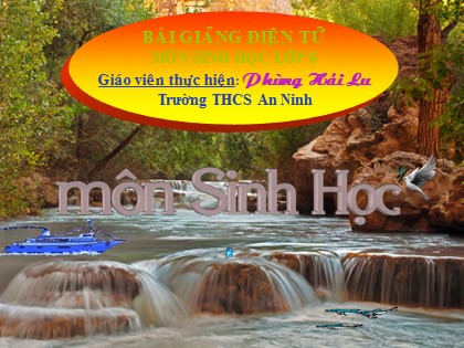 Bài giảng Sinh học Lớp 8 - Tiết 9: Cấu tạo và tính chất của cơ