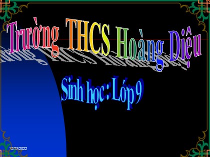 Bài giảng Sinh học Lớp 9 - Bài 21: Đột biến gen - Trường THCS Hoàng Diệu