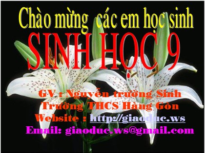 Bài giảng Sinh học Lớp 9 - Bài 48: Quần thể người - Nguyễn Trường Sinh