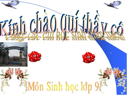 Bài giảng Sinh học Lớp 9 - Bài 53: Tác động của con người đối với môi trường