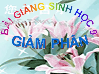 Bài giảng Sinh học Lớp 9 - Tiết 10: Giảm phân