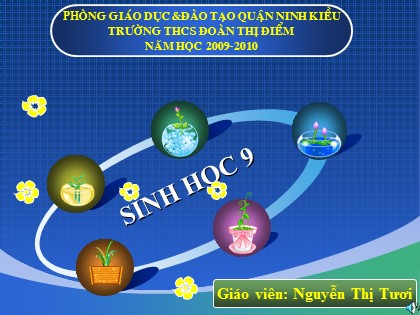 Bài giảng Sinh học Lớp 9 - Tiết 12: Cơ chế xác định giới tính - Nguyễn Thị Tươi