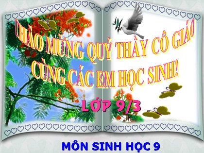 Bài giảng Sinh học Lớp 9 - Tiết 46: Ảnh hưởng lẫn nhau giữa các sinh vật