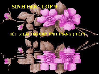 Bài giảng Sinh học Lớp 9 - Tiết 5: Lai hai cặp tính trạng (Tiết 2)