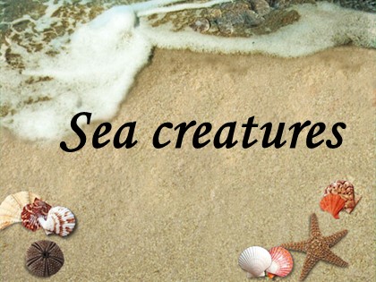 Bài giảng Tiếng Anh Lớp 10 - Unit 9: Undersea world - Lesson: Listening