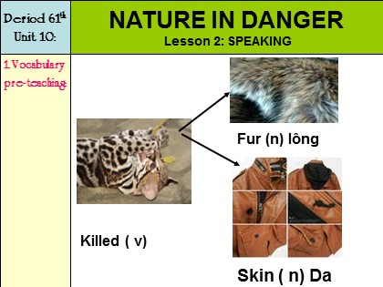 Bài giảng Tiếng Anh Lớp 11 - Unit 10: Nature in danger - Lesson 2: Speaking