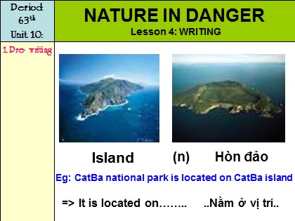 Bài giảng Tiếng Anh Lớp 11 - Unit 10: Nature in danger - Lesson 4: Writing