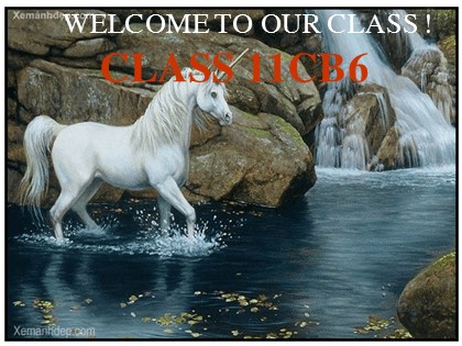 Bài giảng Tiếng Anh Lớp 11 - Unit 10: Nature in danger - Lesson: Language focus