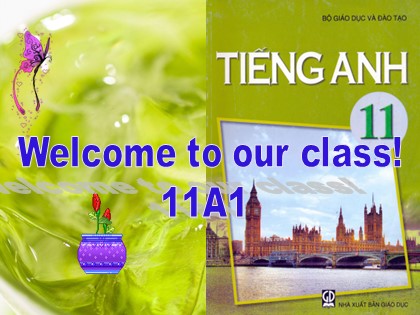 Bài giảng Tiếng Anh Lớp 11 - Unit 13: Hobbies - Lesson D: Writing about your collection