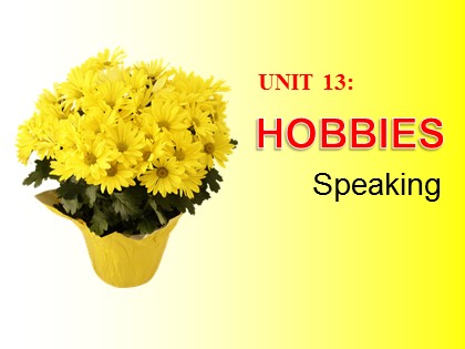 Bài giảng Tiếng Anh Lớp 11 - Unit 13: Hobbies - Lesson: Speaking