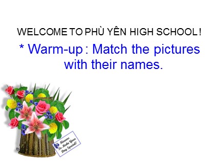 Bài giảng Tiếng Anh Lớp 11 - Unit 8: Cele brations - Lesson: Writing Bài giảng Tiếng Anh Lớp 11 - Unit 8: Cele brations - Lesson: Writing