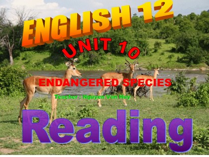 Bài giảng Tiếng Anh Lớp 12 - Unit 10: Endangred species - Lesson: Reading 2